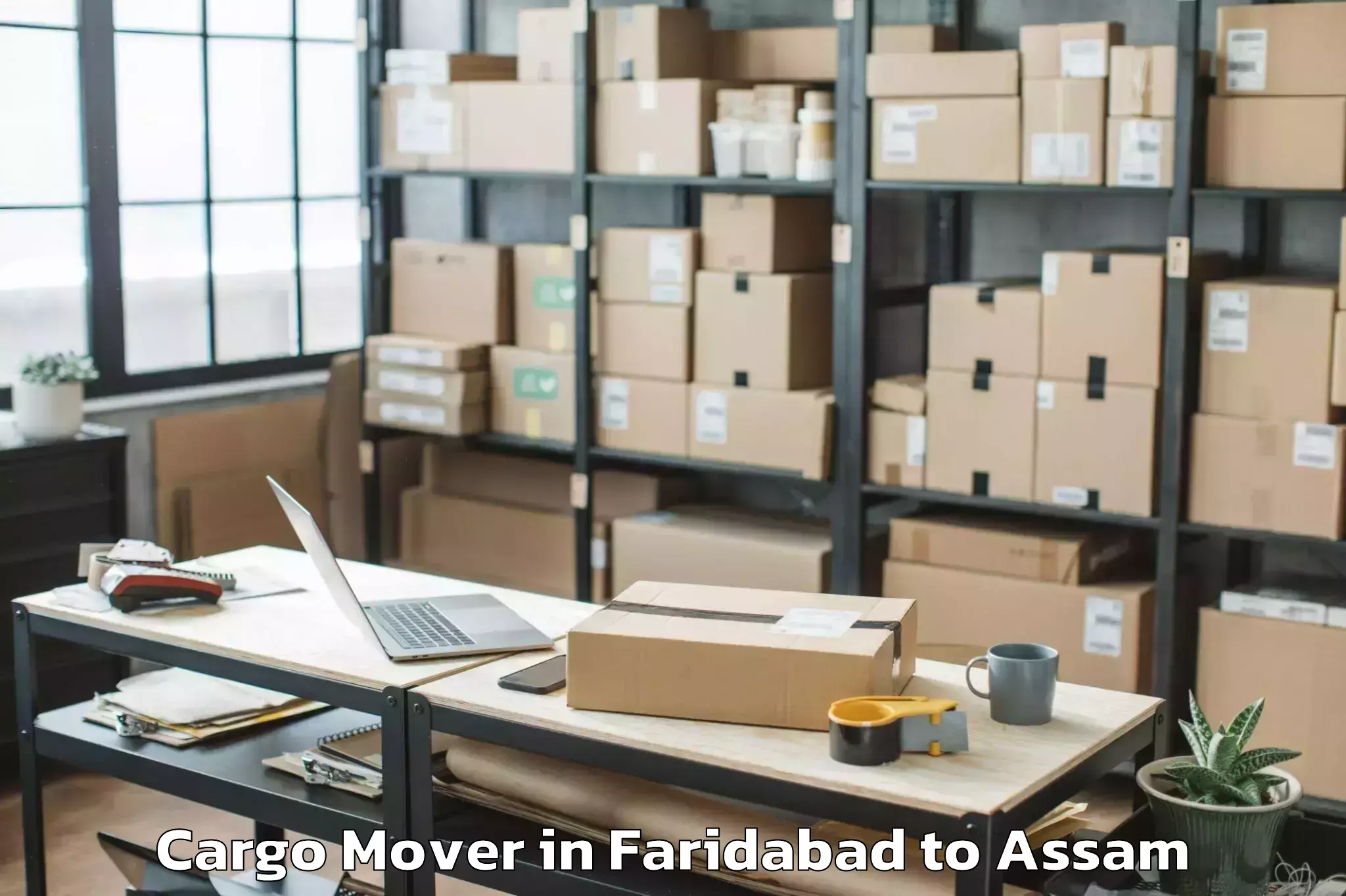 Hassle-Free Faridabad to Goshaingaon Cargo Mover